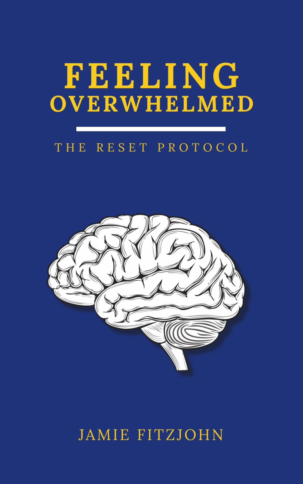 Feeling Overwhelmed: The Reset Protocol