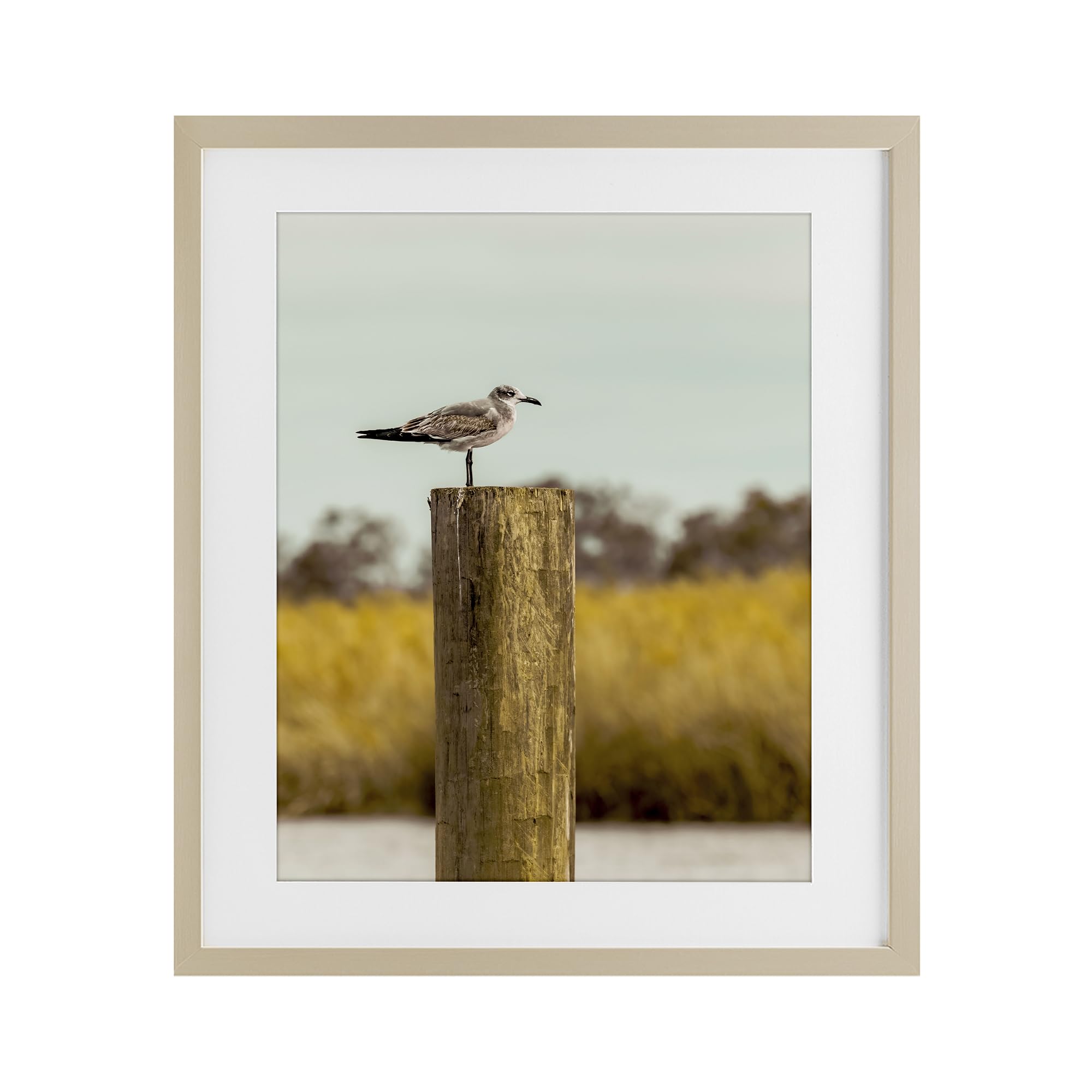 Stupell Industries 'Gull On Piling', Framed Print Under Glass, Brown, 17 x 21 Inches, Easy to Hang and Sturdy, Made in USA, by Christy Berry