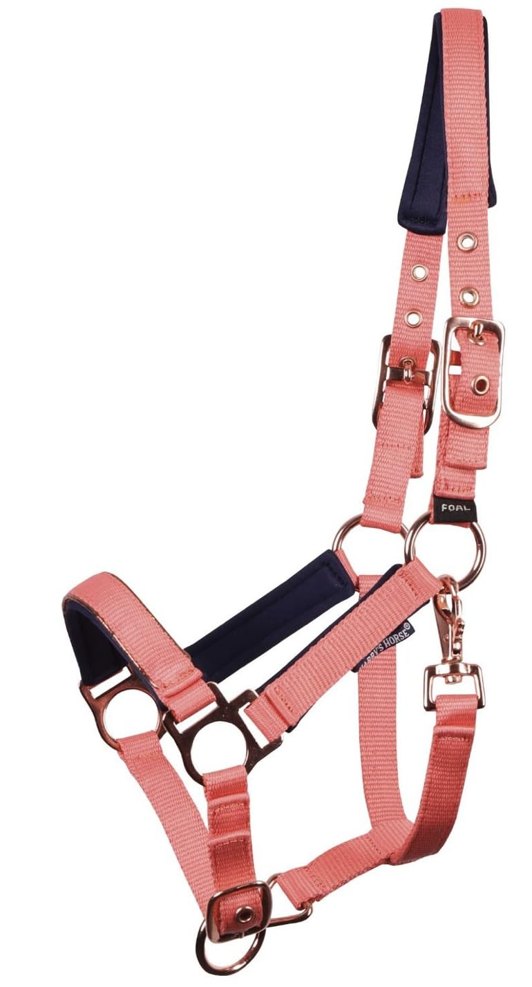 JA4041 - Cabezal de potro Pepper – Cabestro ajustable para potro con acolchado de neopreno en cuello y nariz (rosa coral, mini potro)