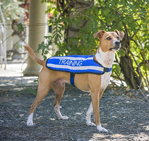 TRAINING (hond in training/niet storen) blauwe kleur gecodeerd S M L reflecterende waterdichte fleece gevoerde warme hond jassen voorkomt ongevallen door waarschuwing anderen van uw hond op voorhand, Medium Coat, Blauw - Afbeelding 3