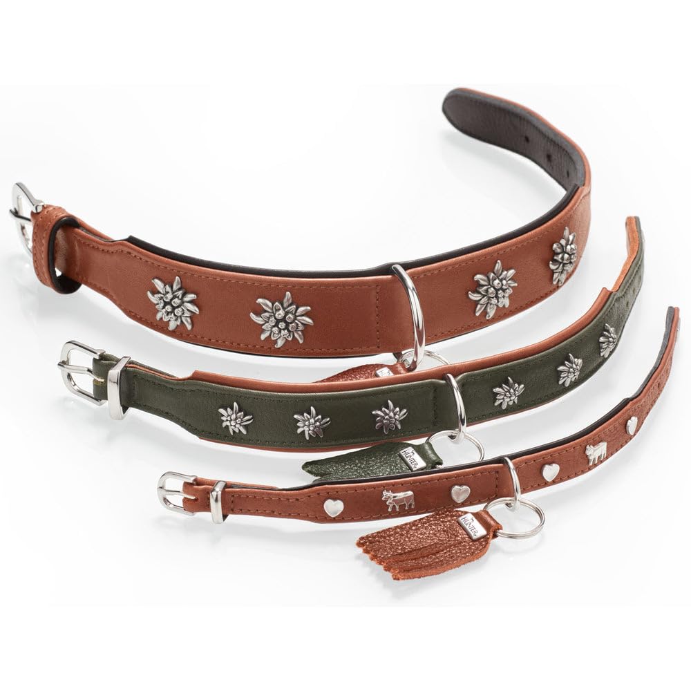 HUNTER Collar de Perro München Color: Verde/coñac, Piel, Detalles Nobles, Suave y Resistente, cuidadoso con la Piel, Lujoso, ecológico, sostenible, Fabricado en Alemania, Talla: 60