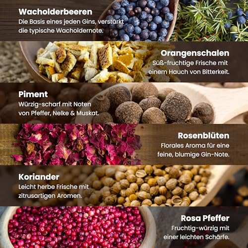 Krautberger BIO Gin Botanicals Geschenkbox I 6 Premium Gin Gewürze I DIY Geschenk Premium Box Gin Zusätze I Geschenkset Gin Gewürze in Bio-Qualität + Rezepte