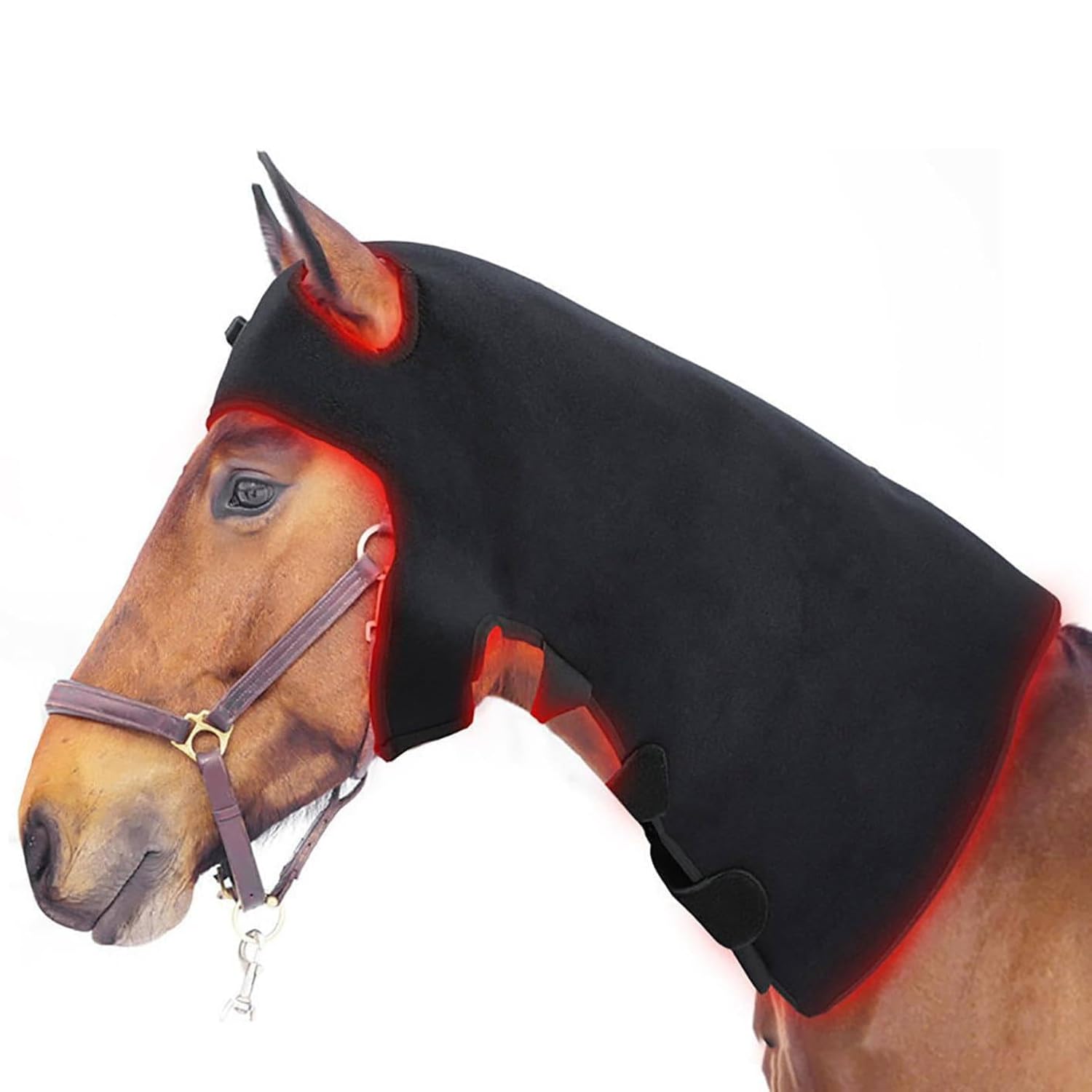 Attrezzatura per La Terapia della Luce Rossa del Cavallo, per Il Rilassamento della Testa E del Collo del Cavallo, con 234 Perline per Lampade a LED, Lunghezza D'onda 660nm E 850nm