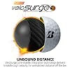 Bridgestone Golf Tour Golf Balls One Dozen