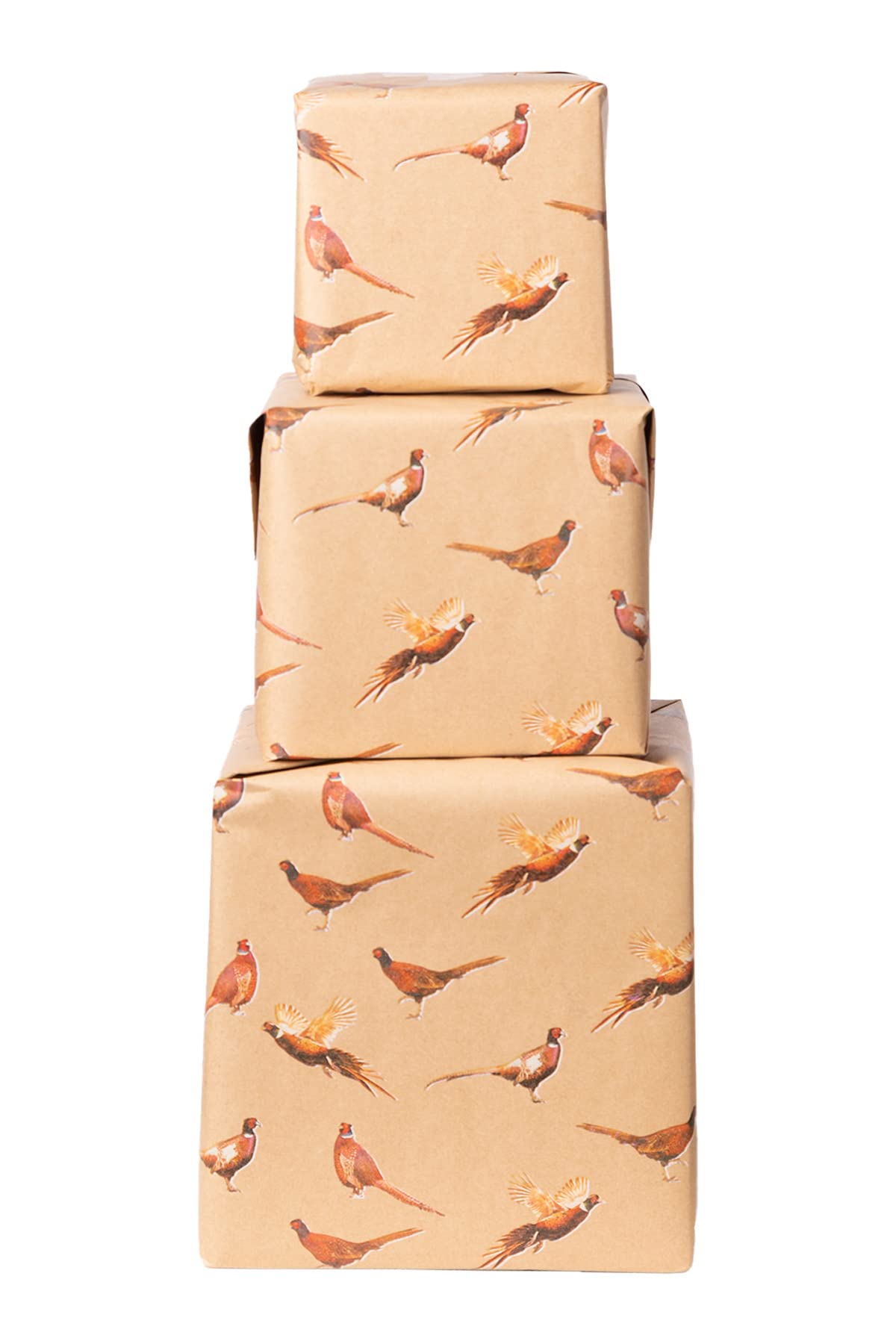 Wrapping Paper 3 Metre Eco-friendly Kraft Wrap 100% Recyclable Gift Present Occassion Pheasant Horse Dog (Pheasant) — image 1