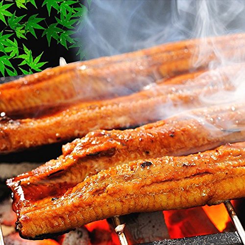 ギフト 土用 丑の日 国産（宮崎県産・鹿児島県産）炭火焼うなぎ蒲焼3尾入 特大(1尾約230g前後～約250ｇ前後)サイズ 尾頭付き おのみち発