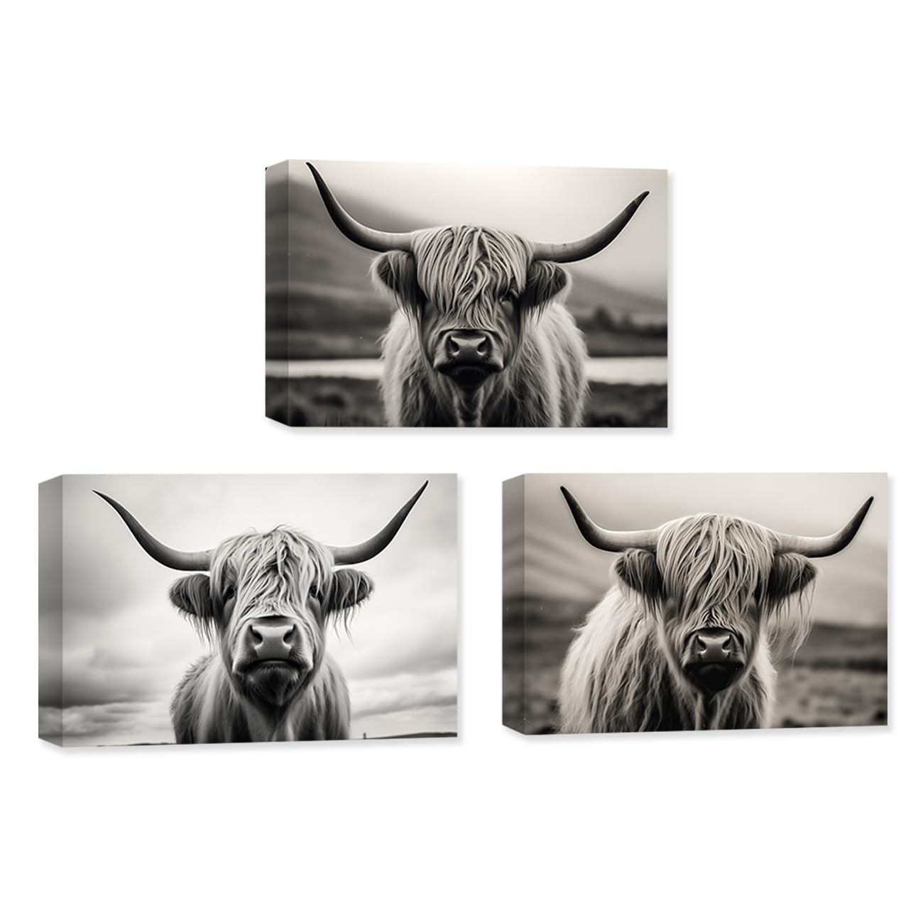 CXHOSTENT 3 Panels Highland Cow Canvas Wall Art Farm Animals Pictures Wall Decor Black and White Cattle Painting Print Decor Frame (Highland Cow - 1, 60x90cmx3Pcs) โ image 1
