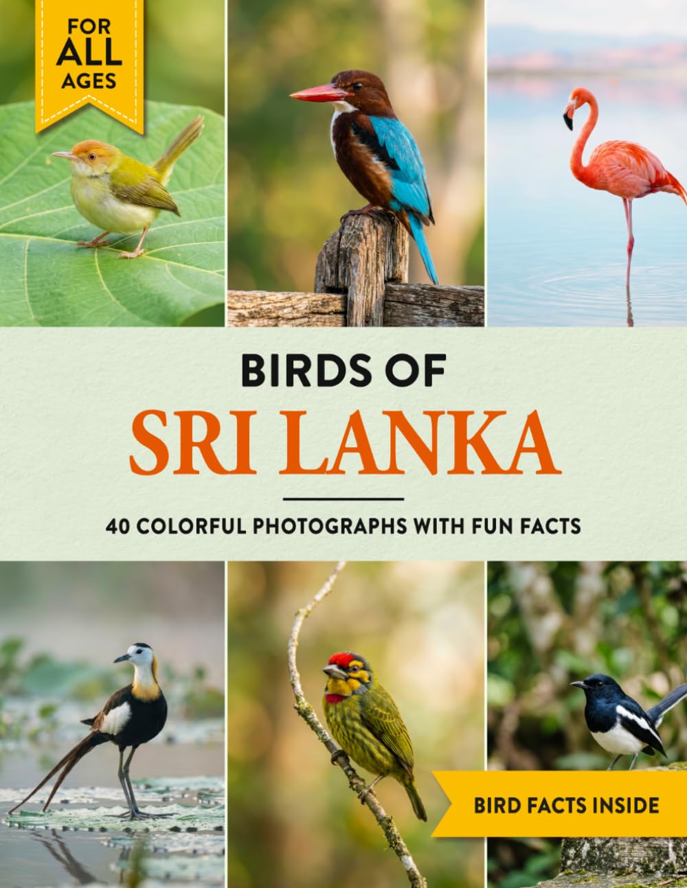 Birds of Sri Lanka: A Birdwatching Picture Book with Fun Facts and Photography for Kids, Adults & Birders