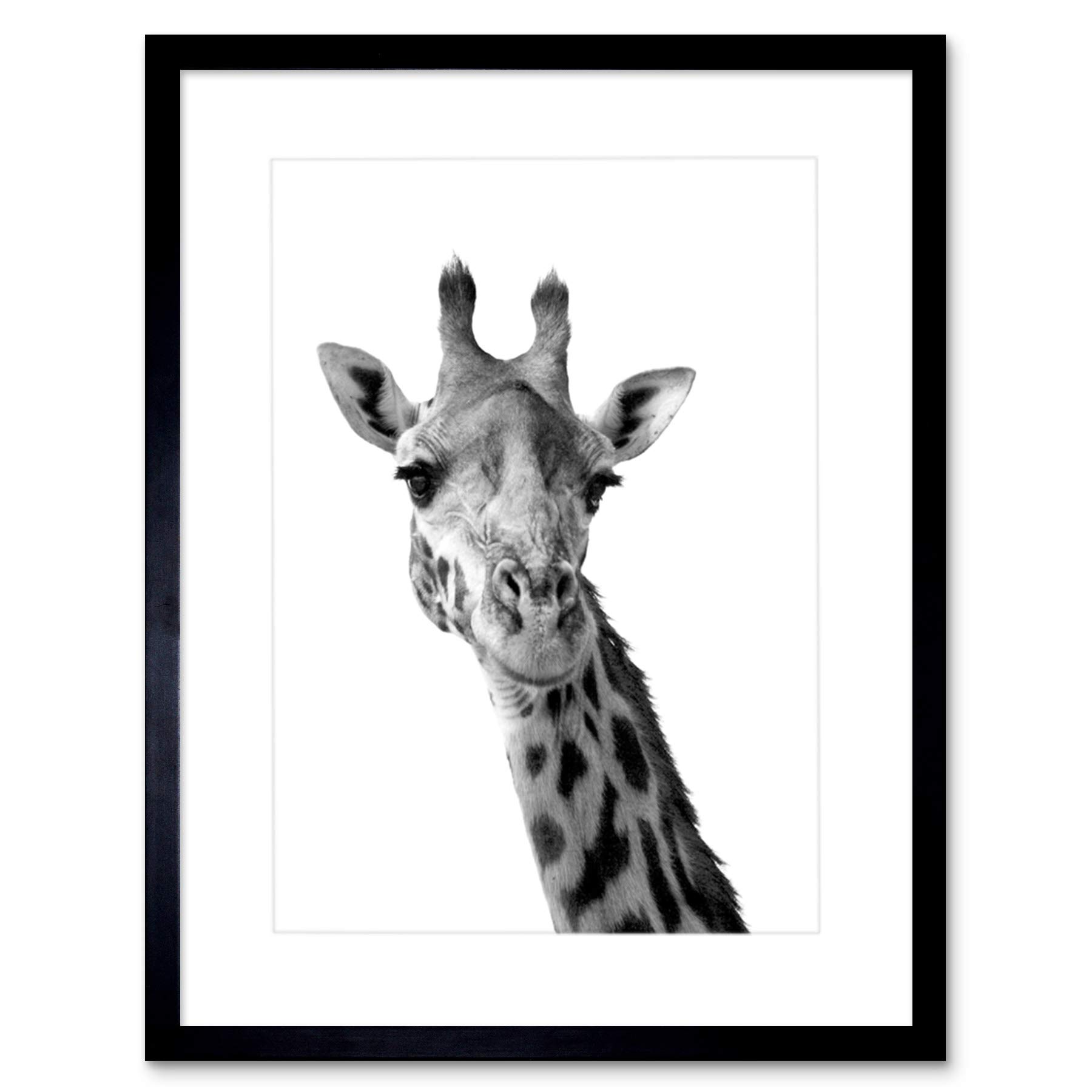 Wee Blue Coo Photo Black White Giraffe Portrait Face Framed Wall Art Print