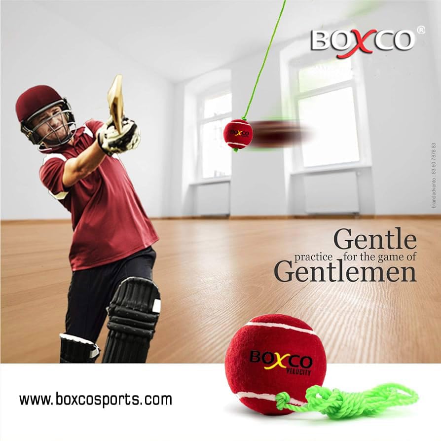 Image of BOXCO Velocity Heavy Weight Hanging Tennis Cricket Ball for Match Practice & Training, Hanging Cricket Ball for Indoor /Outdoor Knocking (Maroon, Pack of 1)
