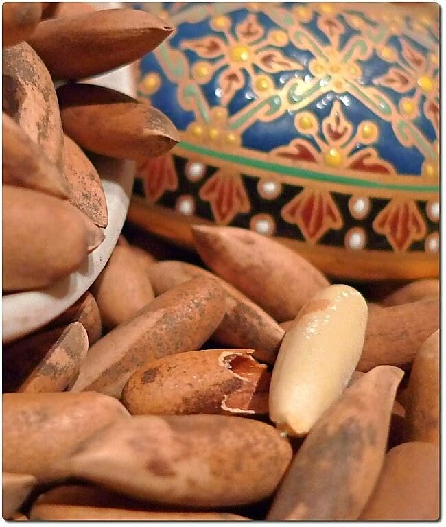 Image of SONAV FOODS Pine Nuts 100 GM | Chilgoza Dry Fruits | Without Shell | Nuts Jumbo Size Pine Nuts Chilgoze | Chilgoja