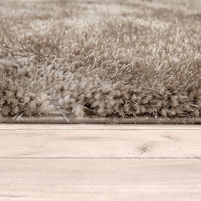 Image of Shaggy Rug for Bedroom Living Room 3X5 FEET Fluffy Plush Area Carpet with Non Slip Backing, Modern Cozy Floor Rug for Home Decor and Comfort (Beige /Moraccan)