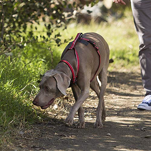 Image of HALTI Walking Harness - Lightweight Dog Harness with Handle, Reflective & Adjustable, Ideal for Puppy Walks, Suitable for Medium Dogs and Puppies (Size M, Black)