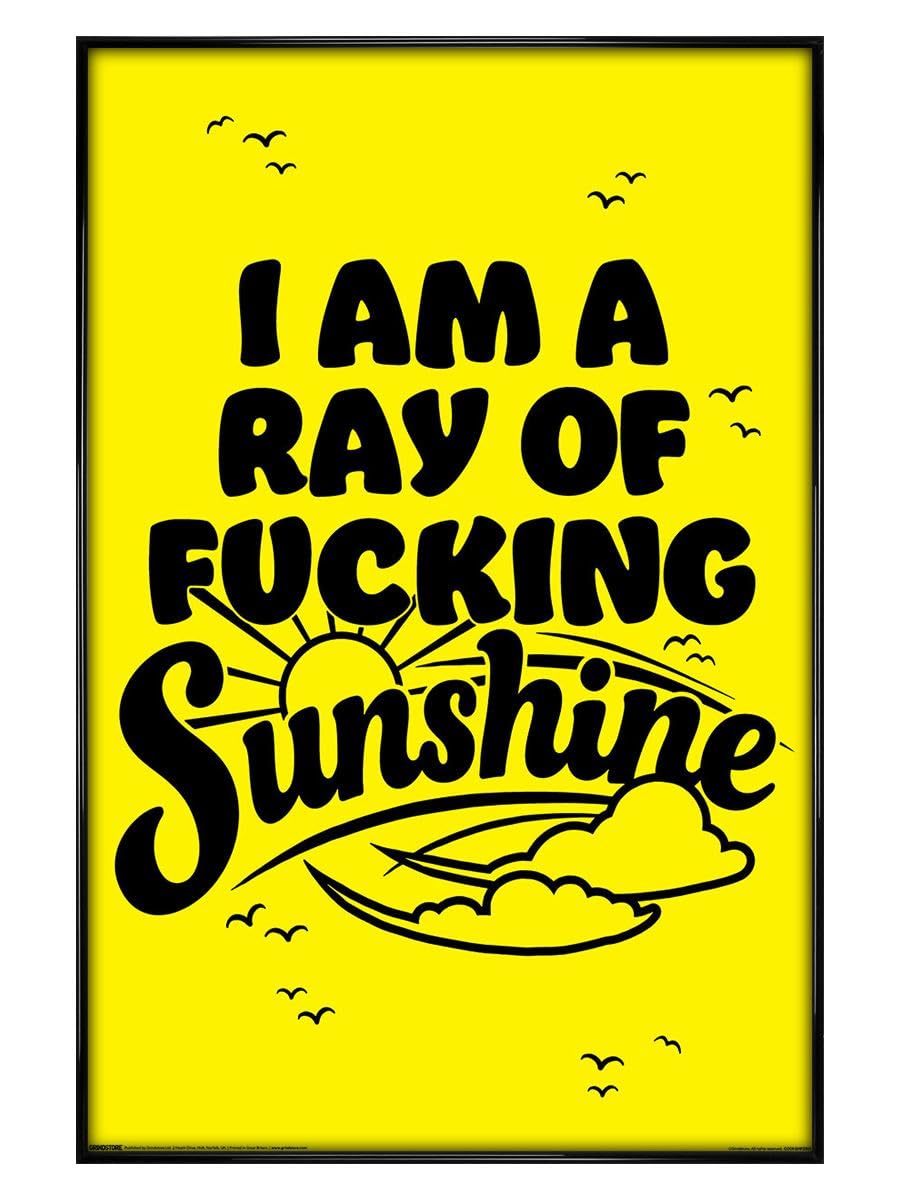 Grindstore Black I Am A Ray Of Fucking Sunshine Maxi Poster - Gloss Framed - Framed Poster Print, Wall Decor/Art, Home Gift Idea, For Living Room, Bedroom, Home Or Office Display