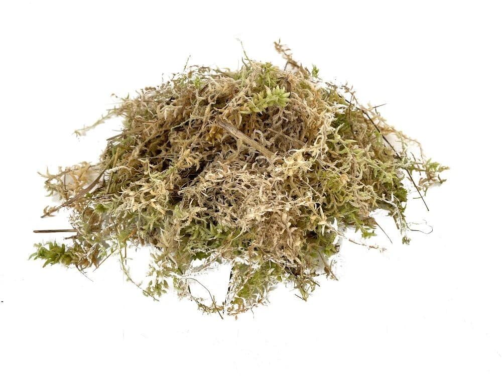 Garden Center Shop | Musgo Sphagnum 5L. | Alta Retención de Humedad | Aireación y Protección del Sustrato | Ideal Orquídeas, Bonsáis y Plantas Delicadas | Musgo humedo