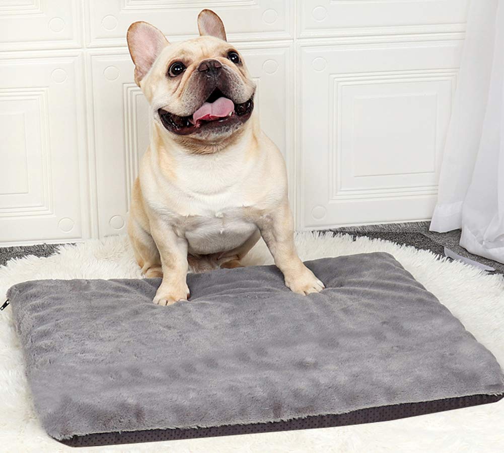 Waschbare Hundebettunterlage XXL – 122 Cm, Weiches Plüsch, Rutschfest, Selbstwärmend, Für Große Hunde, Waschbar