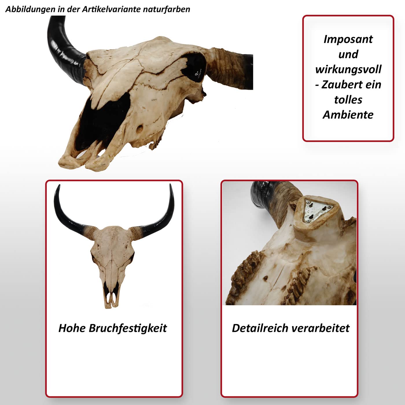 Mendler Deko Schädel 45cm Polyresin Stier Bulle Longhorn Kopf Trophäe In-/Outdoor naturfarben