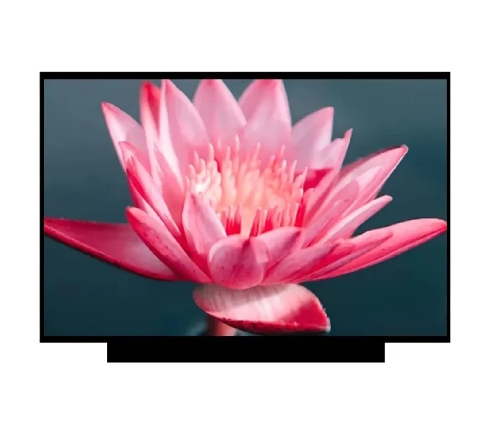 X390 X395 20Q0 20Q1 20SC, Compatibile con ThinPad, Display LCD