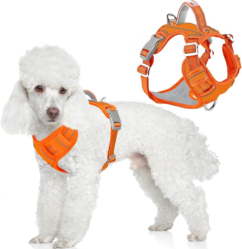 Peitoral Vest para Cães Pequenos BARKBAY com Design Antitração e Porta-Identificação