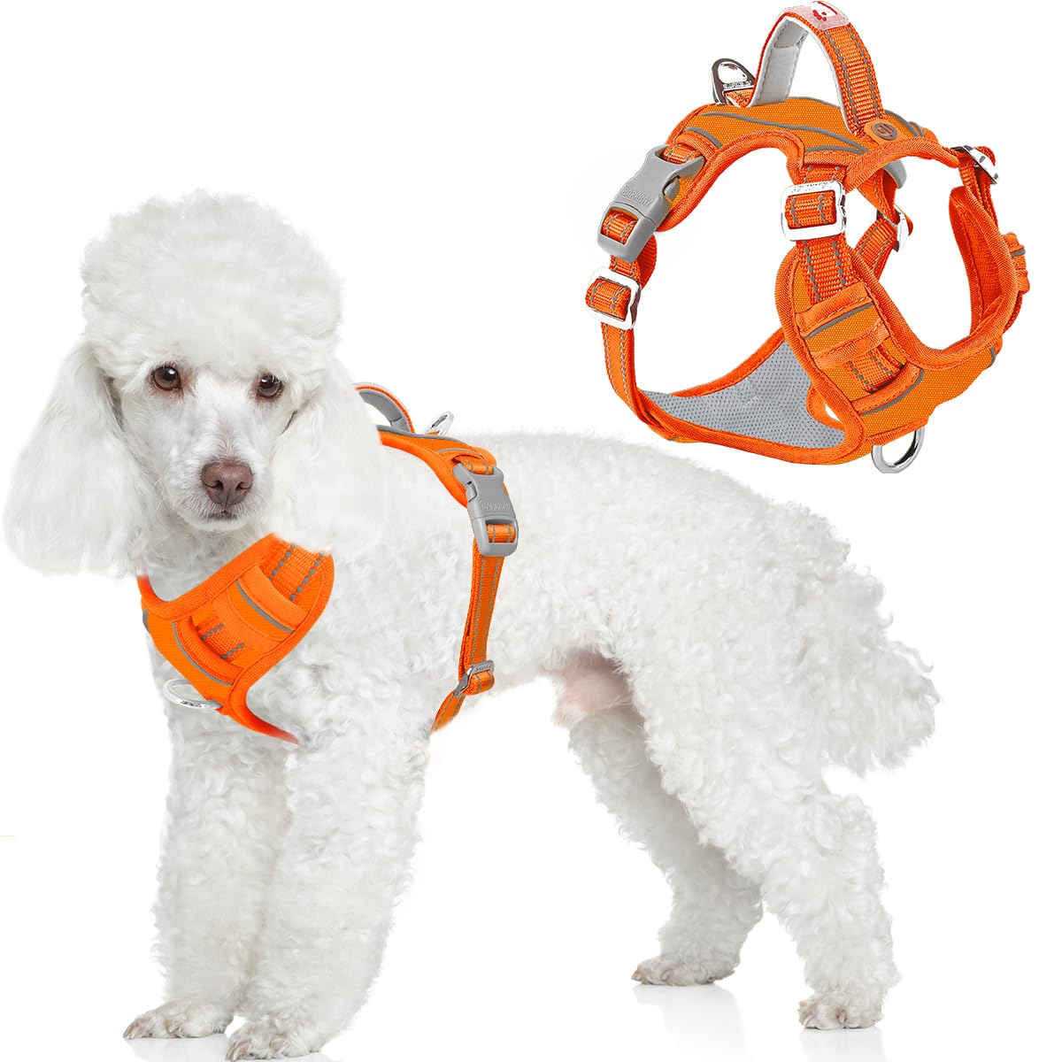 BARKBAY Dog Harness No Pull Oxford with ID Tag Pocket - Heavy Duty, Reflective, Easy Control for Large Dogs(Pumpkin Oxford,XS) — image 1