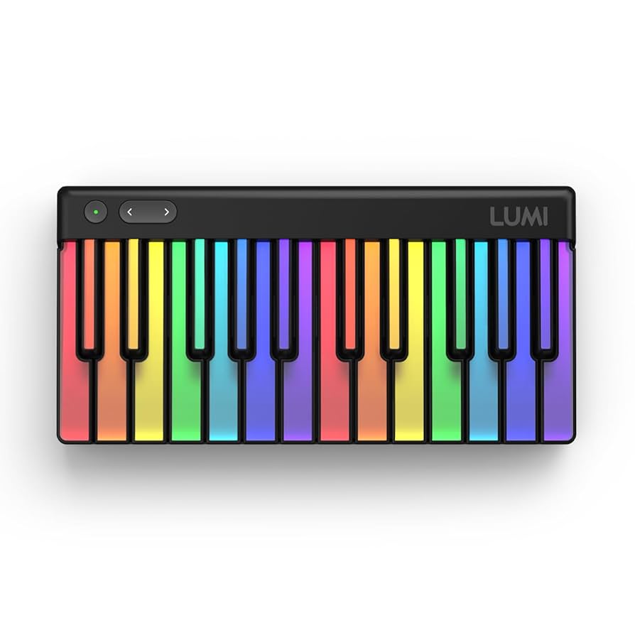 レア】ROLI LUMI 2個セット 日本未発売品 MPE MIDIキーボード レア