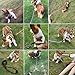 MayPaw Heavy Duty Rope Dog Leash, 3/4/5/6/7/8/10/12/15 FT Nylon Pet Leash, Soft Padded Handle Thick Lead for Large Medium Dogs Small Puppy (1/2