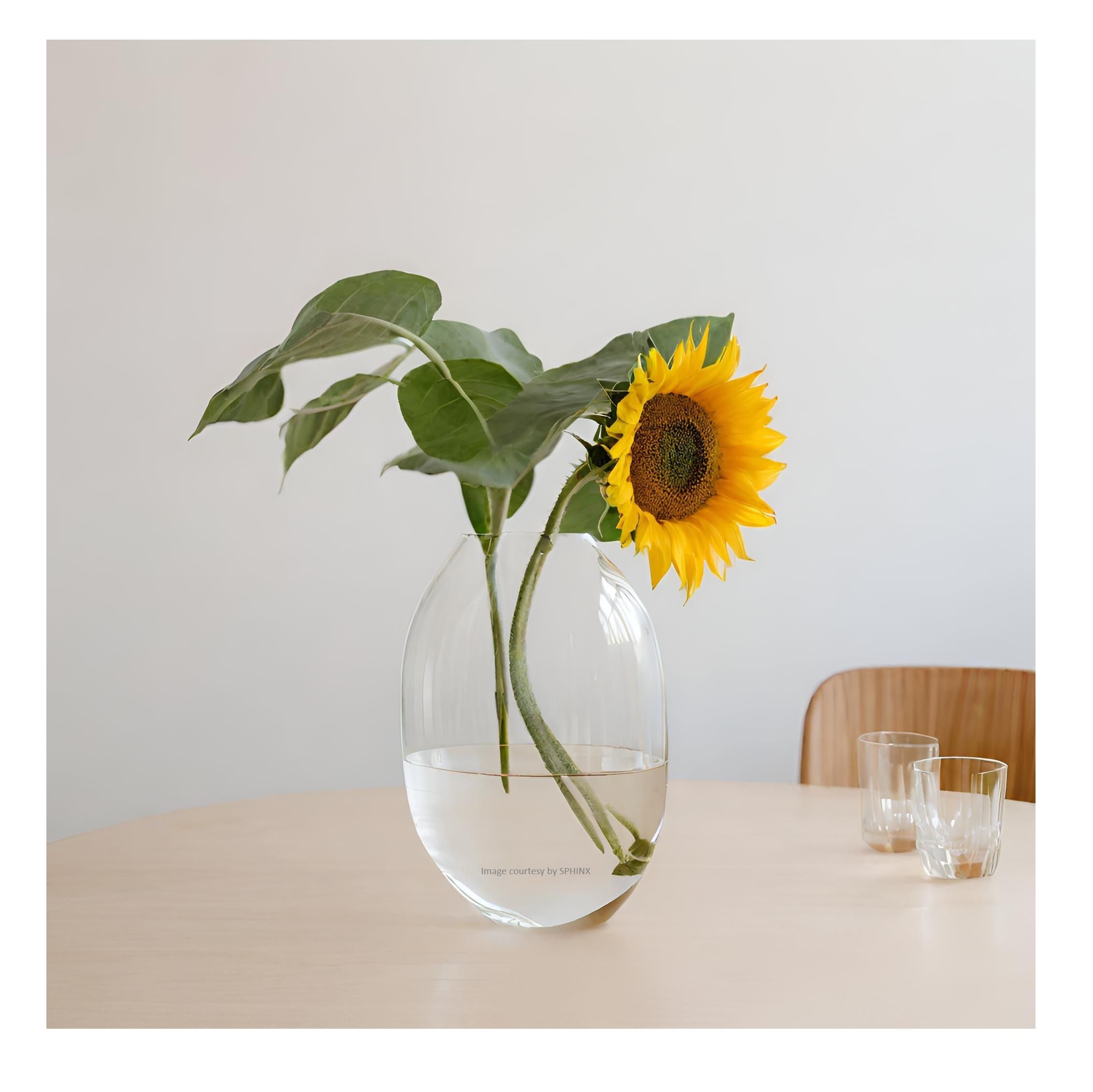 SPHINX Convex Shape Oval Shape Decorative Glass Vase for Flowers Live Plants Bamboo Money Plants Home Decor Office Living Room Table Decorations, Vases for home decor,Gift - (Height 8 Inches, 1 Piece) (B0CSXGV4MP) Amazon Price History, Amazon Price Tracker