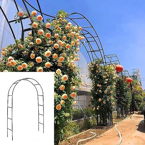 Rosenbogen 2m Breit