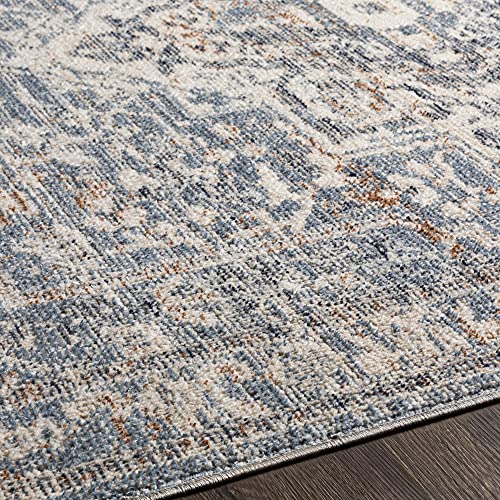 Artistic Weavers Angwin Vintage Floral Runner Area Rug, 2'6" X 8', Light Blue #TOP5