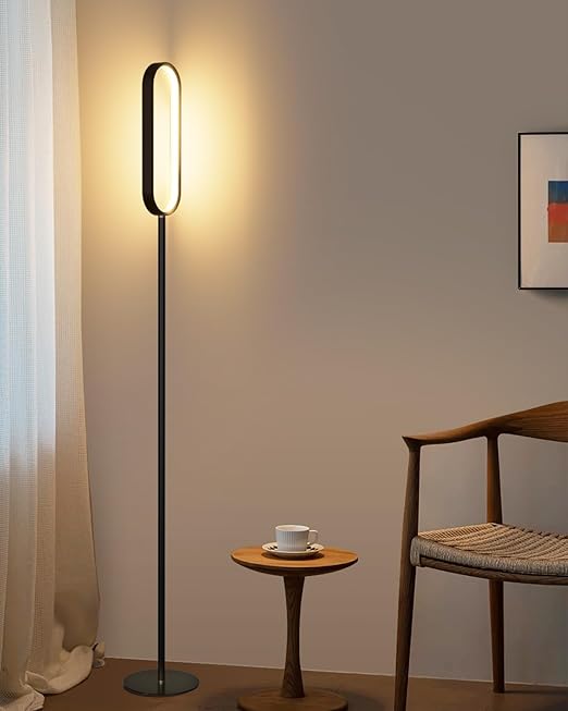 Oval LED Floor Lamp for Living Room, Integrated LED Corner Floor Lamp