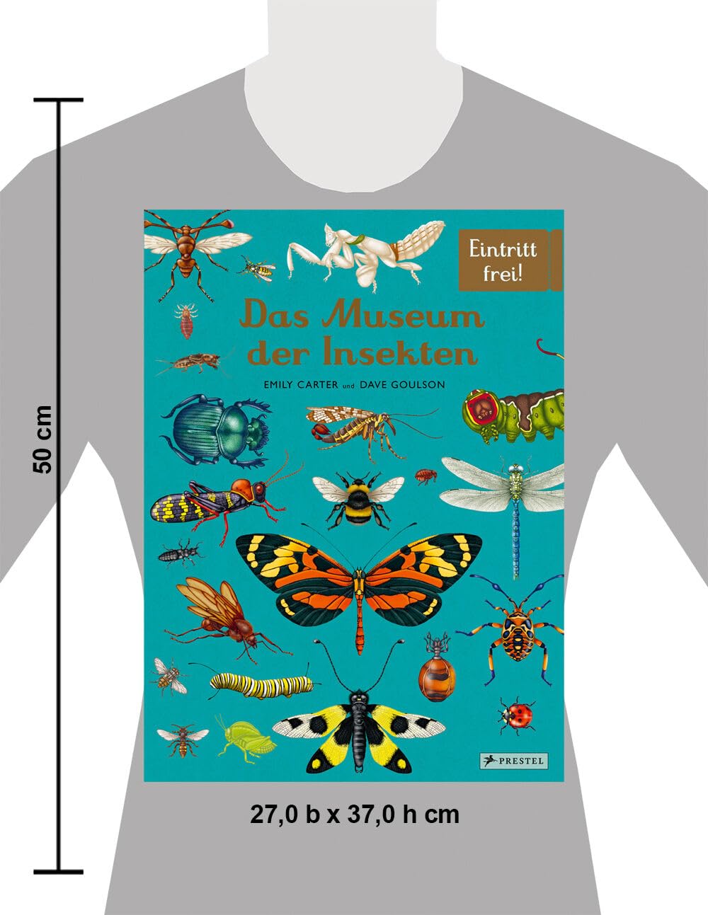Das Museum der Insekten: Eintritt frei! - Sachbilderbuch im Großformat für Kinder ab 8 Jahren mit faszinierenden Illustrationen von Emily Carter: 16
