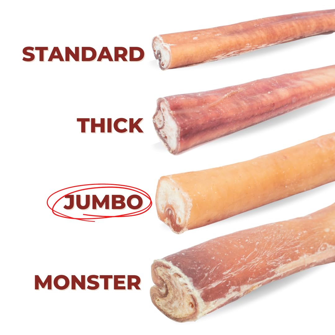 Bully Bunches Premium 12 Inch Jumbo Odor-Free Bully Sticks for Medium & Large Dogs - Consistently Sized, Long Lasting Chews for Oral Care - Natural & Single Ingredient, 100% Beef, Rawhide Free (10 Pk) - Additional View
