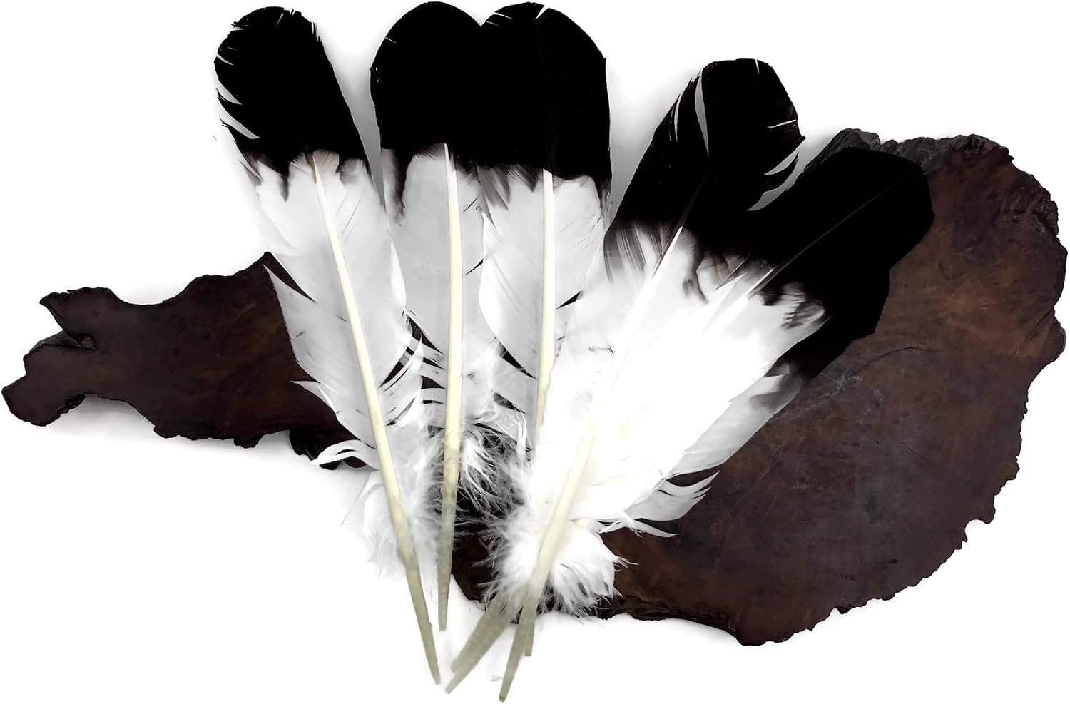 6 Pieces - Black Tipped "Imitation Eagle" Turkey Tom Rounds Secondary Wing Quill Feathers Craft Supply | Moonlight Feather