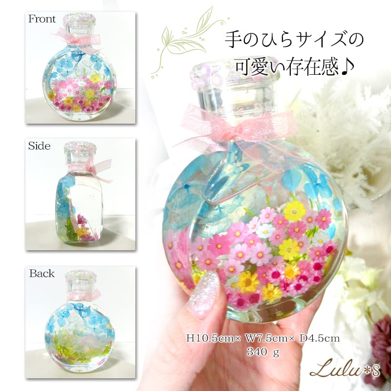 Amazon｜Lulu's ルルズ コスモス畑のハーバリウム プリザーブド