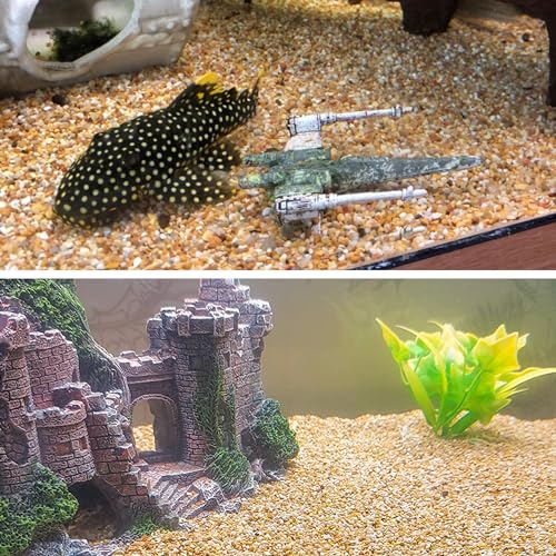 Image of 45lb Cactus Pea Gravel Rocks,1 /5 Inch Pebbles for Indoor Plants, Natural Succulent Rock and River Rocks Decorative for Aquariums, Vases, Terrarium, Outdoor Gardening, Top Dressing for Potted Plants