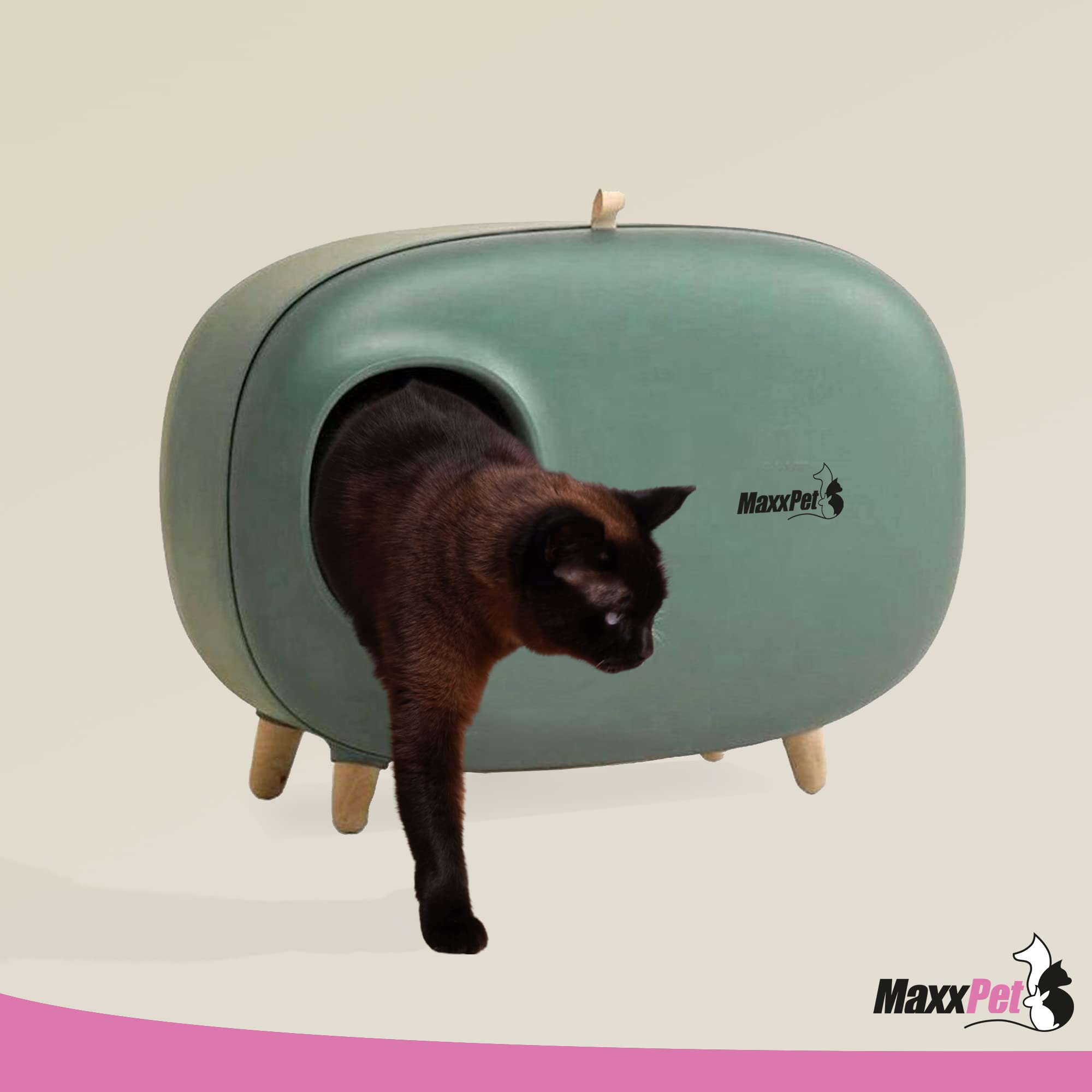MaxxPet Bac à Litière Chat - Maison de Toilette pour Chat - Compartiment Inférieur Amovible pour Un Nettoyage Facile - 60x38x45cm - Vert