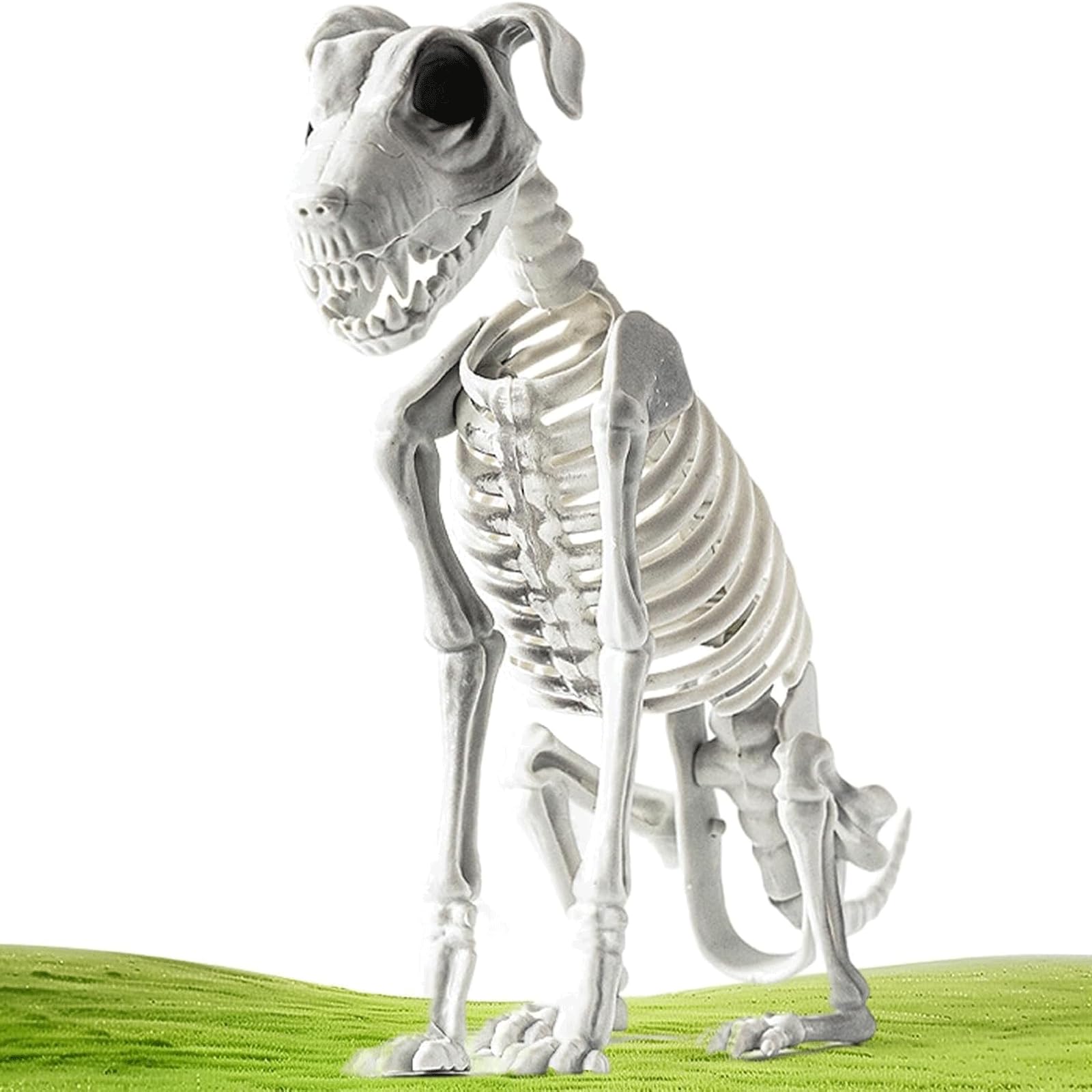 新品　ジェリーキャット　スケルトン　骸骨　スケルトンドッグ　dog 犬 Skeledog Dan - Official Jellycat