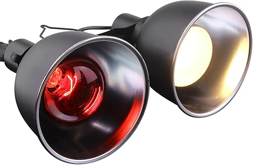 Aiicioo Combo cúpula profunda reptil doble lámpara accesorio díanoche disfrutando calor iluminación kit 100Watt