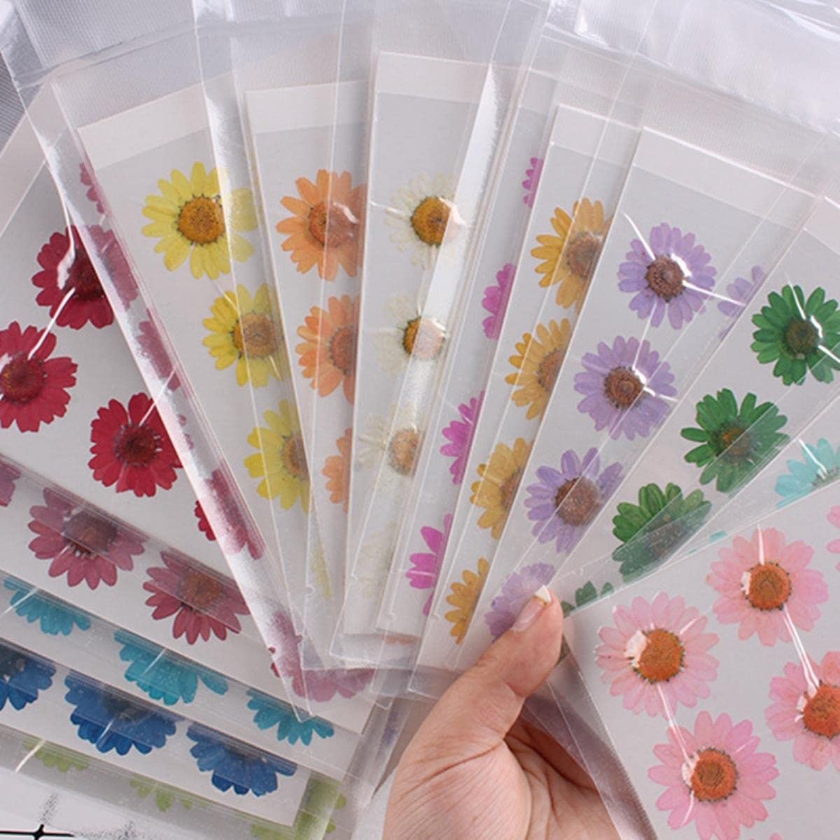 Getrocknete gepresste Blumen, 12 Stück 2–3 cm gepresste, gepresste, getrocknete Gänseblümchen-Trockenblumen for Harz-Anhänger, Halskette, Schmuckherstellung, Basteln, DIY-Zubehör, Rot(White)