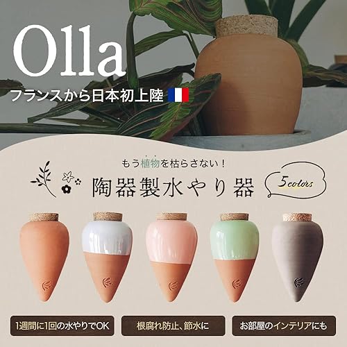 Miniatura 2 de Caja global Plantas en maceta Riego automático Cerámica sin esmaltar Planta de interior Olla de interior (negro sin esmaltar)