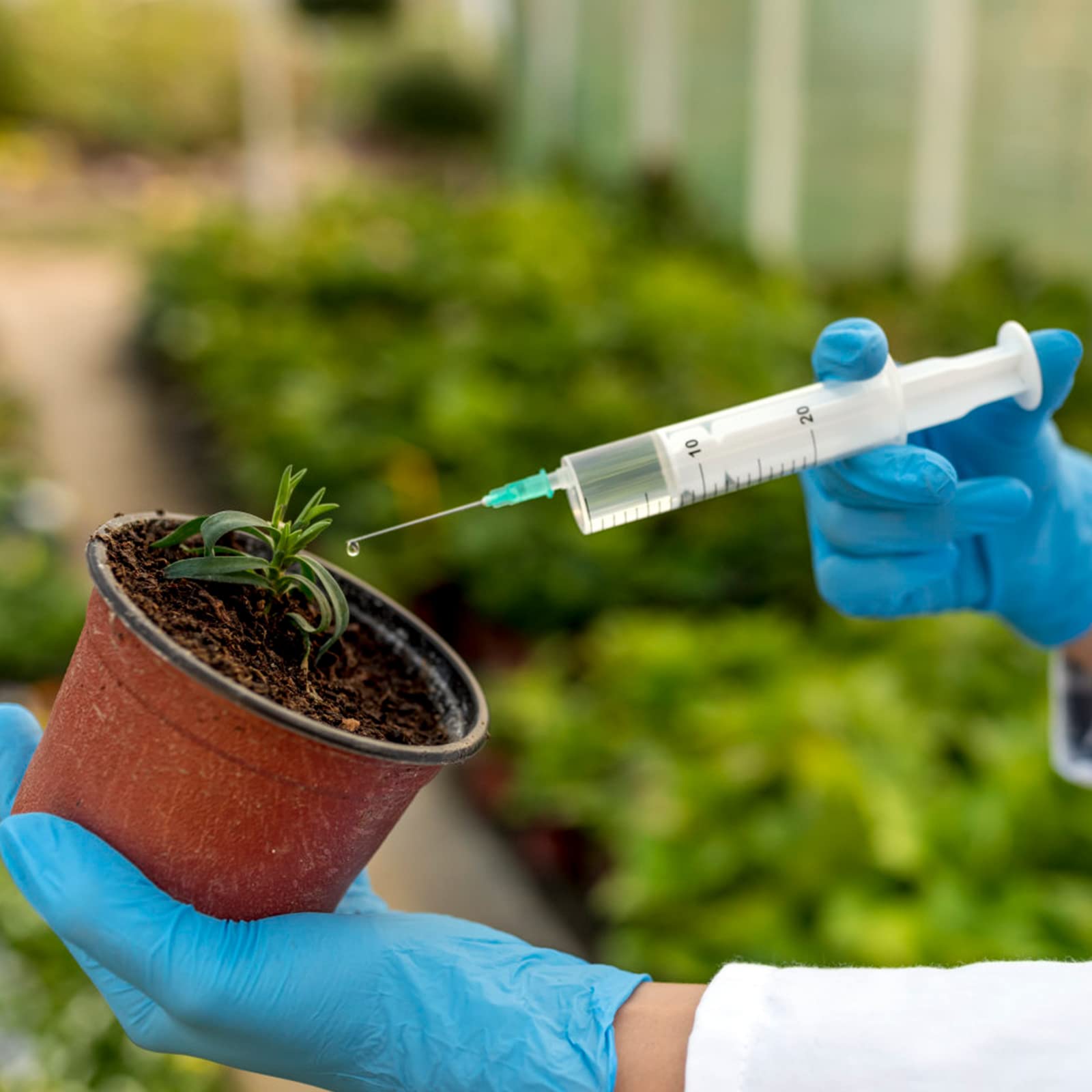 40 Pezzi Siringhe 20 ml, Siringhe Dosatrici con Tappo, Siringhe Senza Ago, Siringa per Mangimi, Siringa per l'Irrigazione Delle Piante Laboratorio Scientifico, Pacchetto Individuale