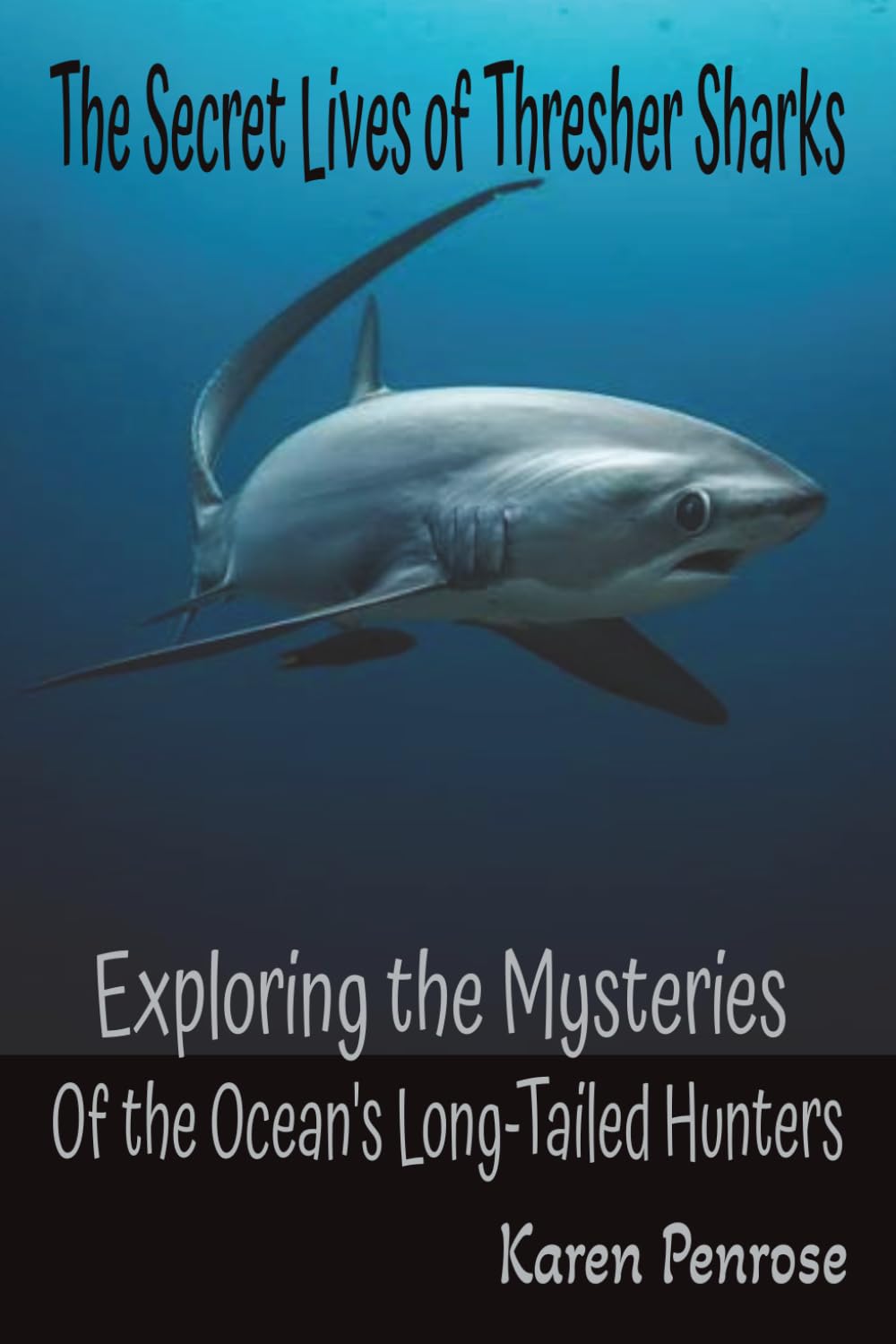 The Secret Lives of Thresher Sharks: Exploring the Mysteries of the Ocean's Long-Tailed Hunters: Marine Predators/Open Ocean ... Ecosystem/STEM Learning/Citizen Science