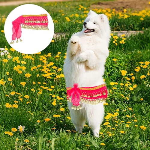 Disfraz Bailarina de Vientre para Perro Color Rojo miniatura 5