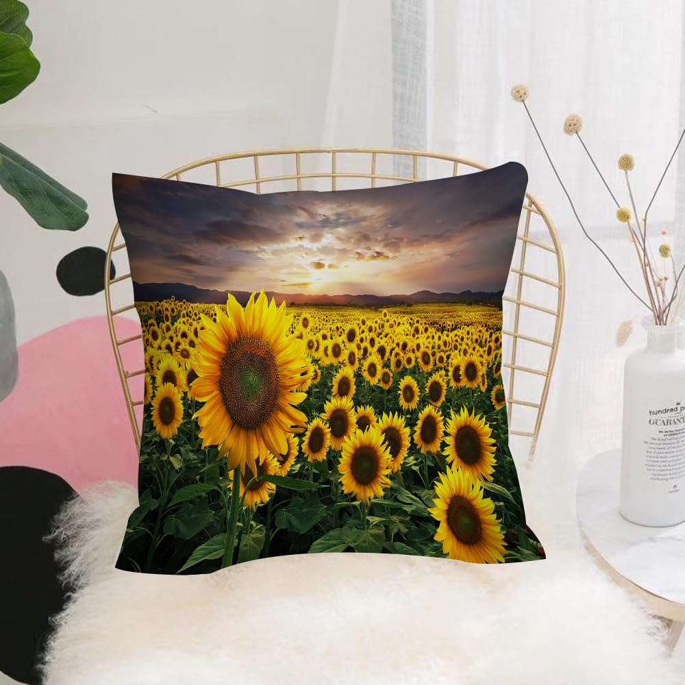 HYOSXW Cushion Cover,Throw Pillow Case Home Decorative for Living Room Bedroom Sofa Chair 16X16 Inch,A huge field of sunflowers during a beautiful sunset.,Pillowcase 40X40cm