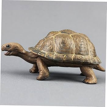 Amazon.co.jp: EXCEART 2個リアルなウミガメ 陸ガメ模型 知育