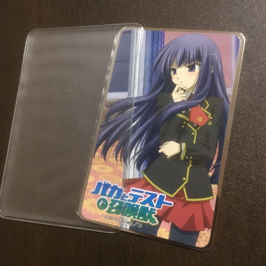 Amazon.co.jp: バカとテストと召喚獣 バカテス 霧島翔子 制服