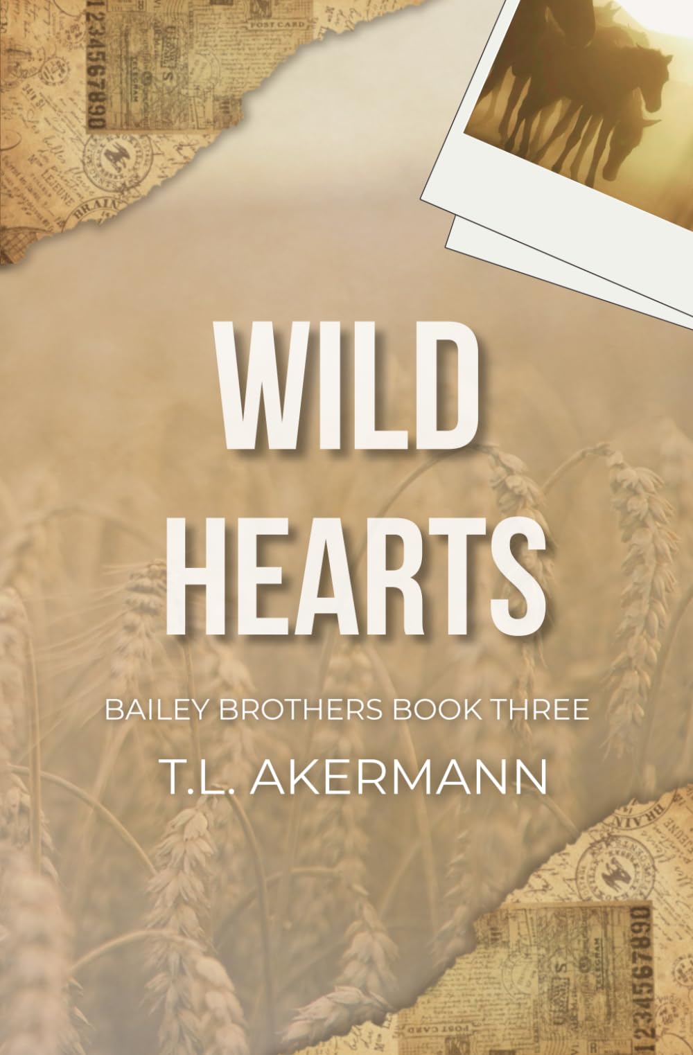 Wild Hearts: Bailey Brothers Book #3