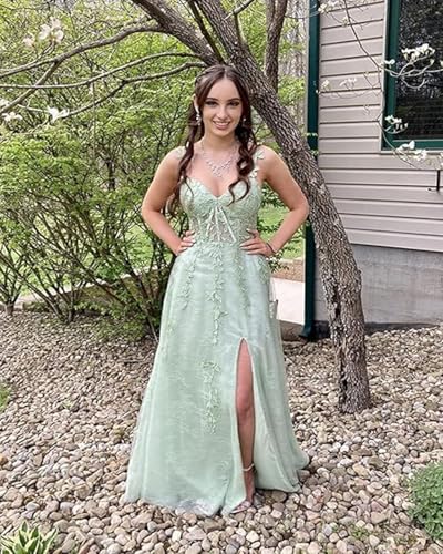 Image of Long Tulle Prom Dresses 2025 V Neck Floral Long Ball Gowns for Women Lace Applique Formal Evening Gowns ACE159