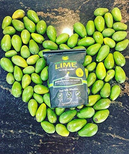 First Saturday Lime 20lb - Image 2
