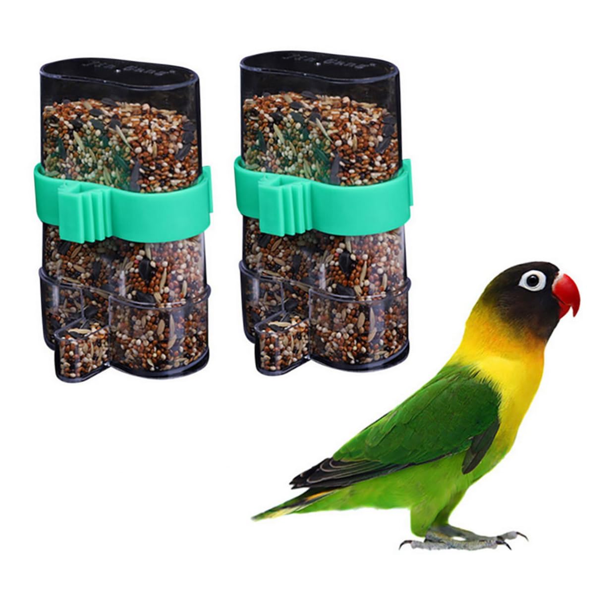 6pezzi Distributore Per Mangiatoia Per Pappagalli e Piccole Facile Cockatiel Budgie